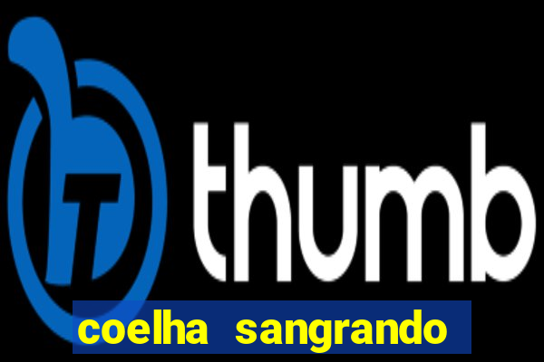 coelha sangrando pela parte intima
